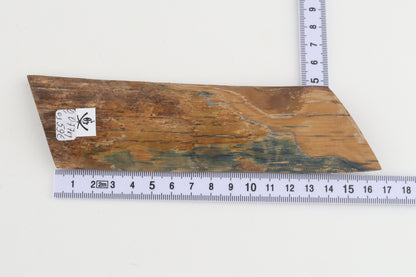 Blue-mustard mammoth bark