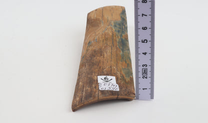 Blue-mustard mammoth bark