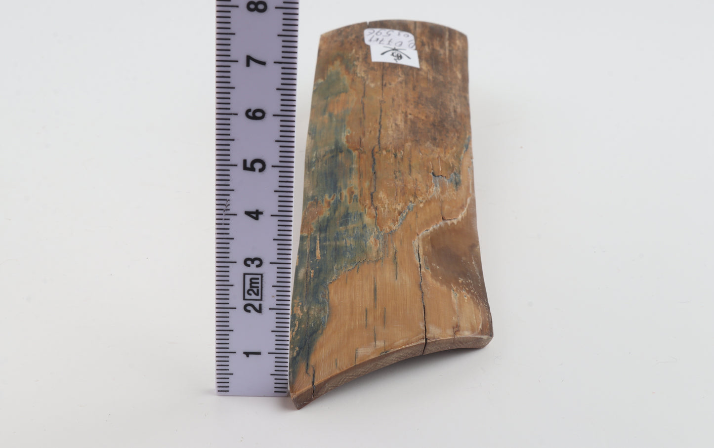 Blue-mustard mammoth bark