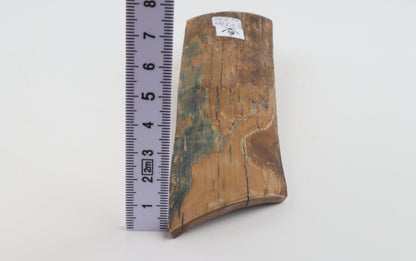 Blue-mustard mammoth bark