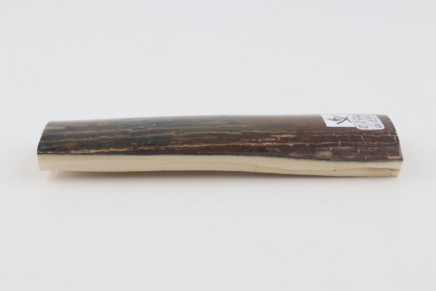 Brown-blue mammoth bark
