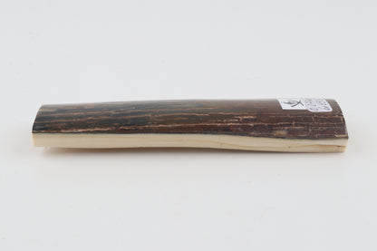 Brown-blue mammoth bark