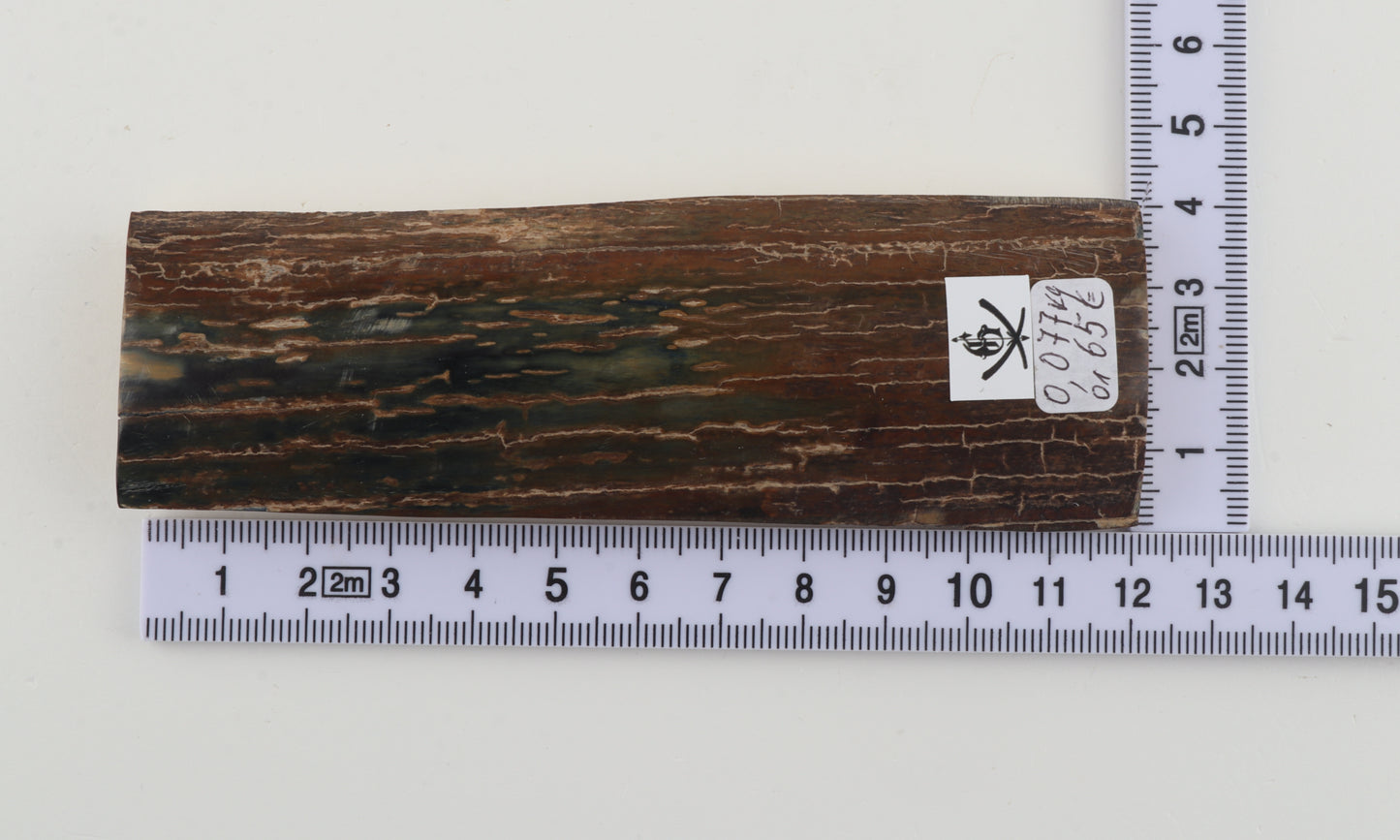 Brown-blue mammoth bark
