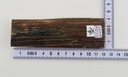 Brown-blue mammoth bark
