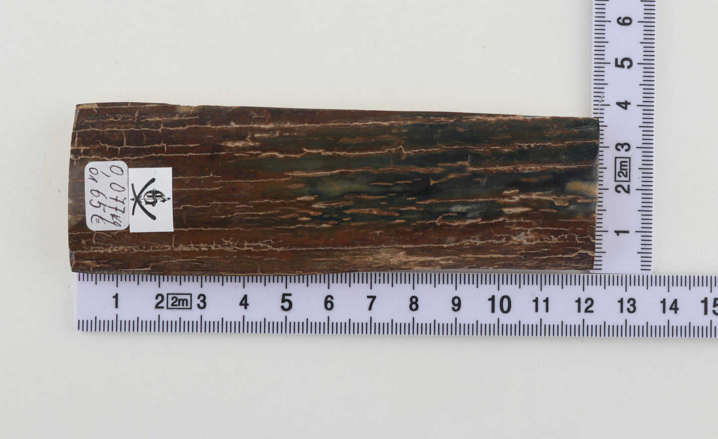 Brown-blue mammoth bark