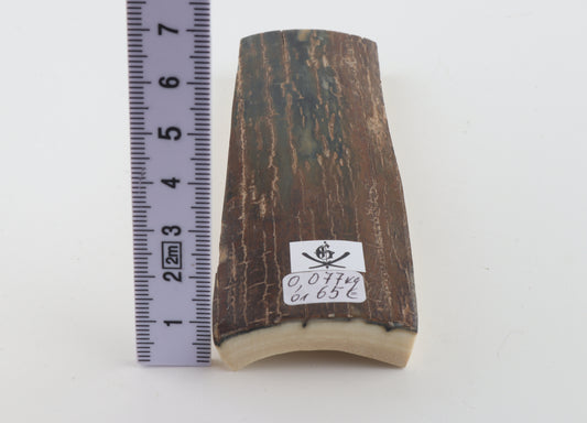 Brown-blue mammoth bark