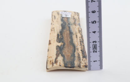 Natural mammoth bark