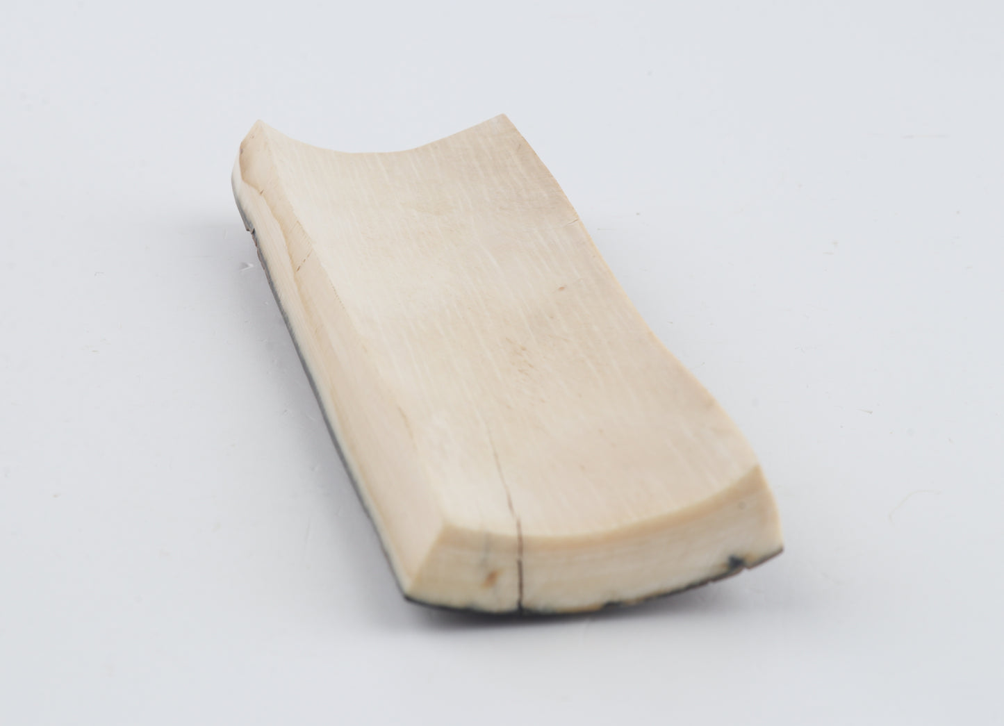 Brown-blue mammoth bark