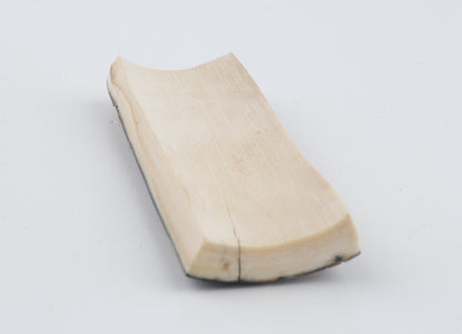 Brown-blue mammoth bark