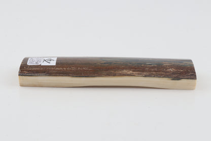 Brown-blue mammoth bark