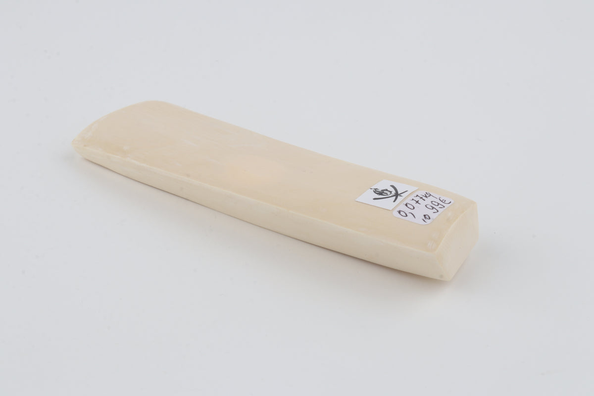 White mammoth ivory segment