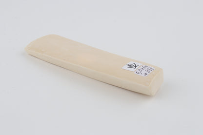 White mammoth ivory segment