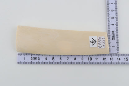 White mammoth ivory segment