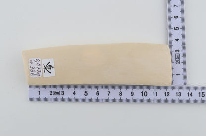 White mammoth ivory segment