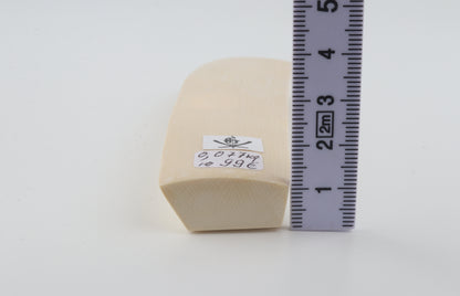 White mammoth ivory segment
