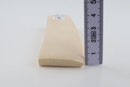 White mammoth ivory segment