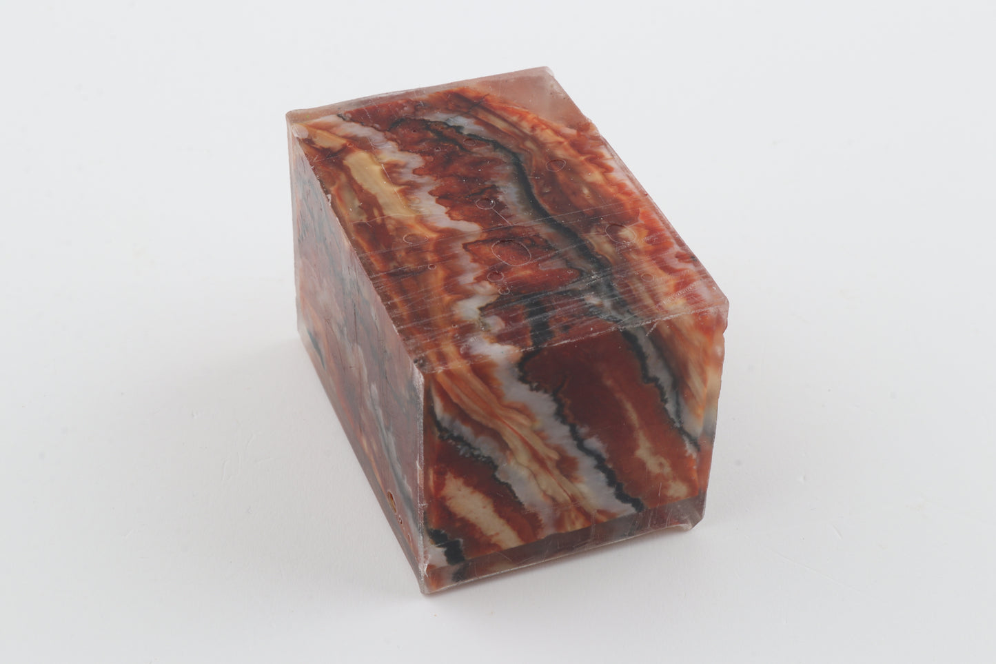 Stabilised mammoth molar piece