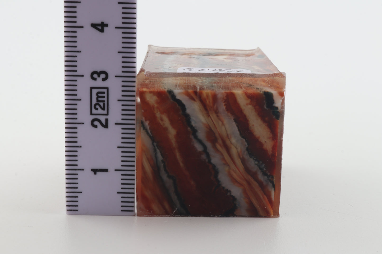 Stabilised mammoth molar piece