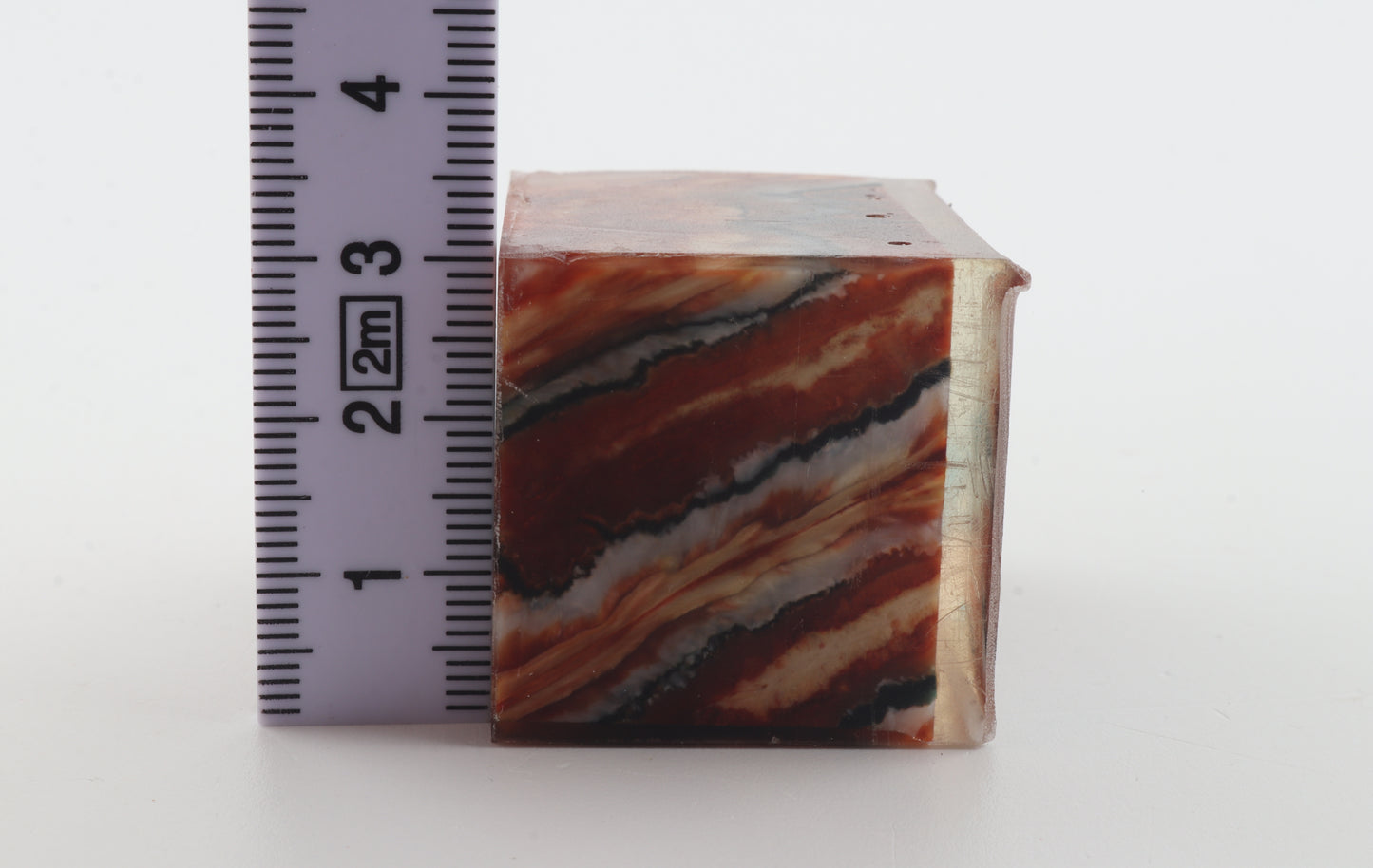 Stabilised mammoth molar piece