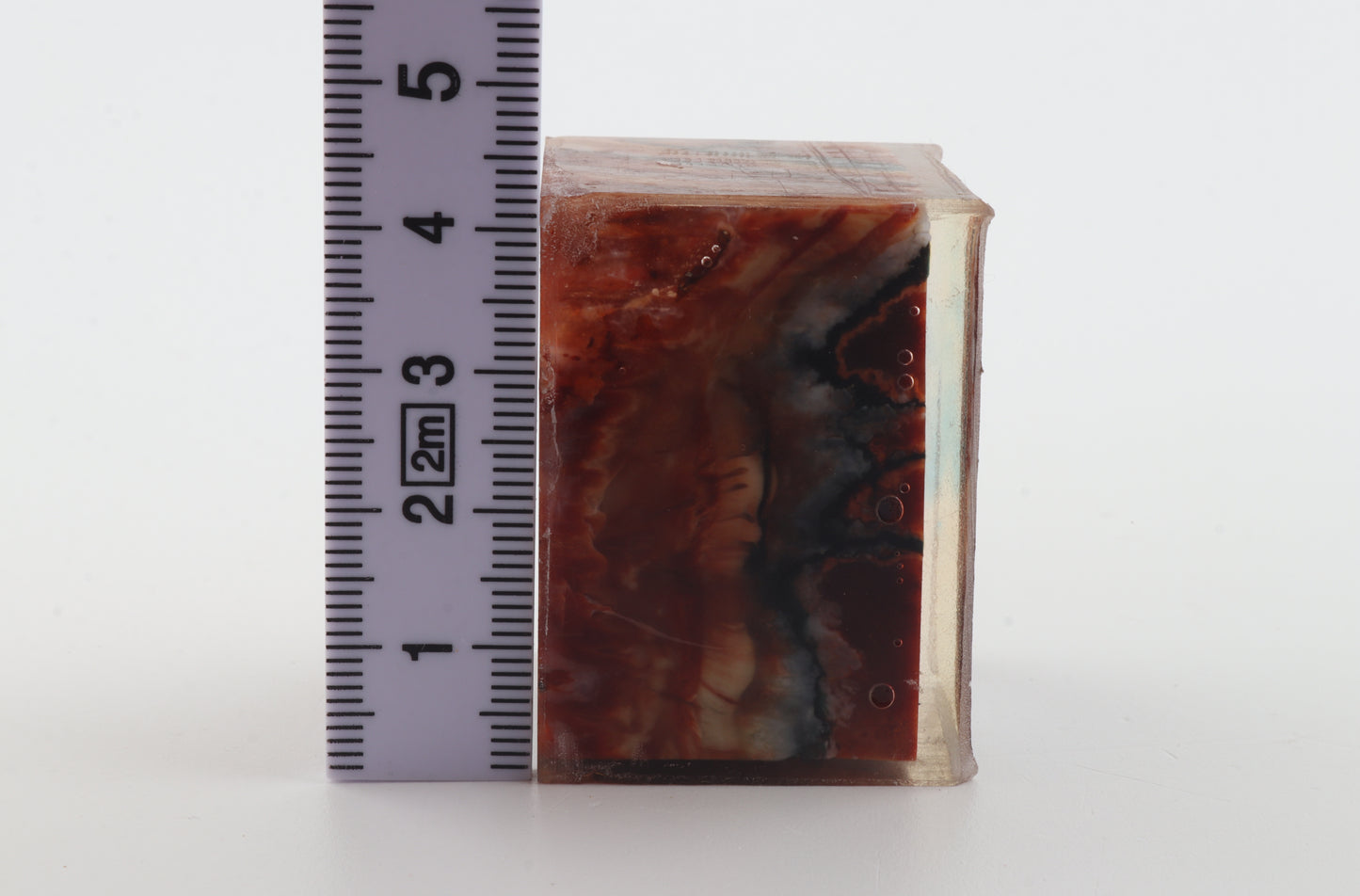 Stabilised mammoth molar piece