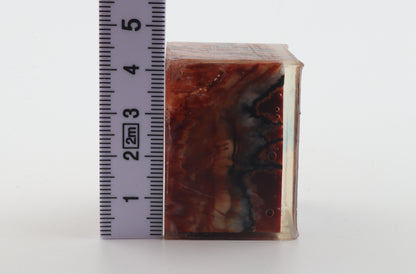 Stabilised mammoth molar piece