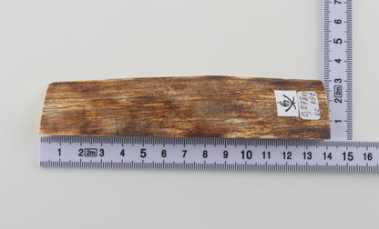 Natural mammoth ivory piece