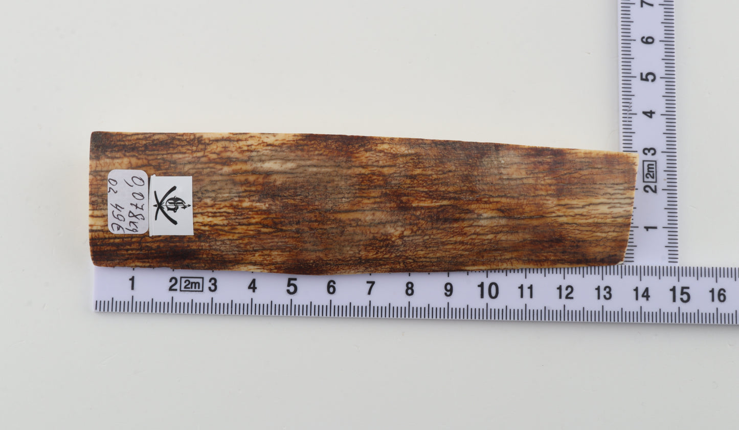 Natural mammoth ivory piece