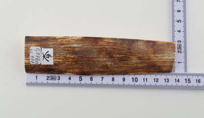 Natural mammoth ivory piece