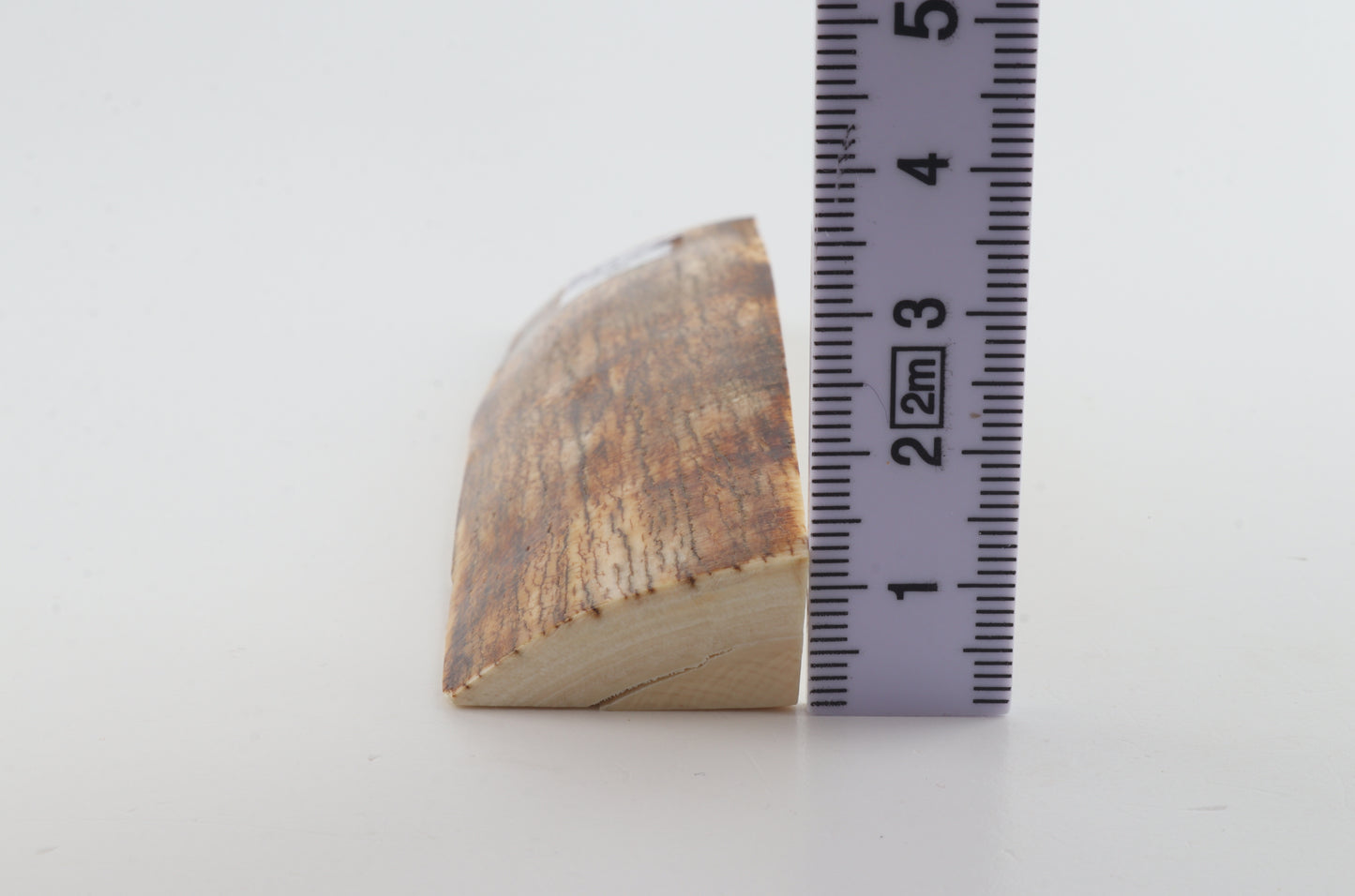 Natural mammoth ivory piece