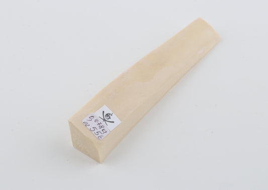 White mammoth ivory segment