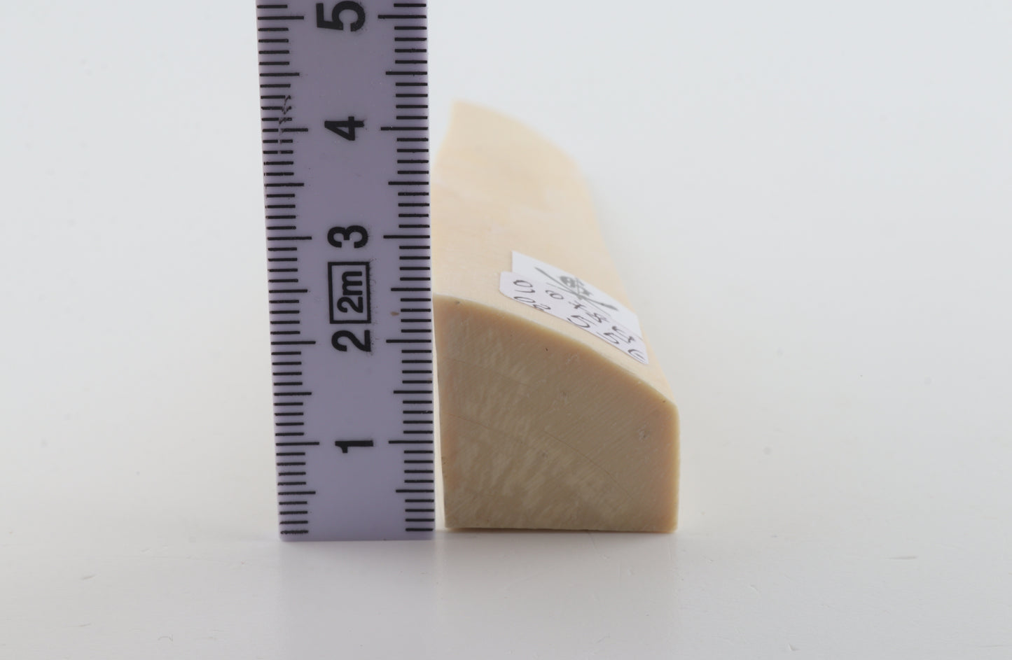 White mammoth ivory segment