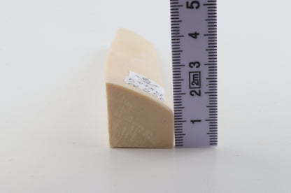 White mammoth ivory segment