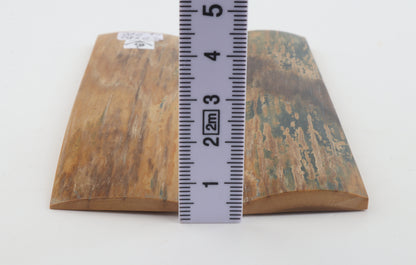 Natural mammoth bark scales