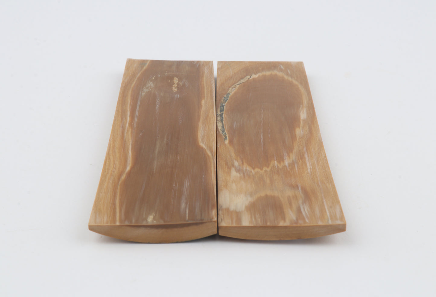 Natural mammoth bark scales