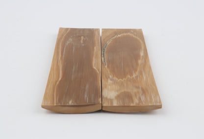 Natural mammoth bark scales