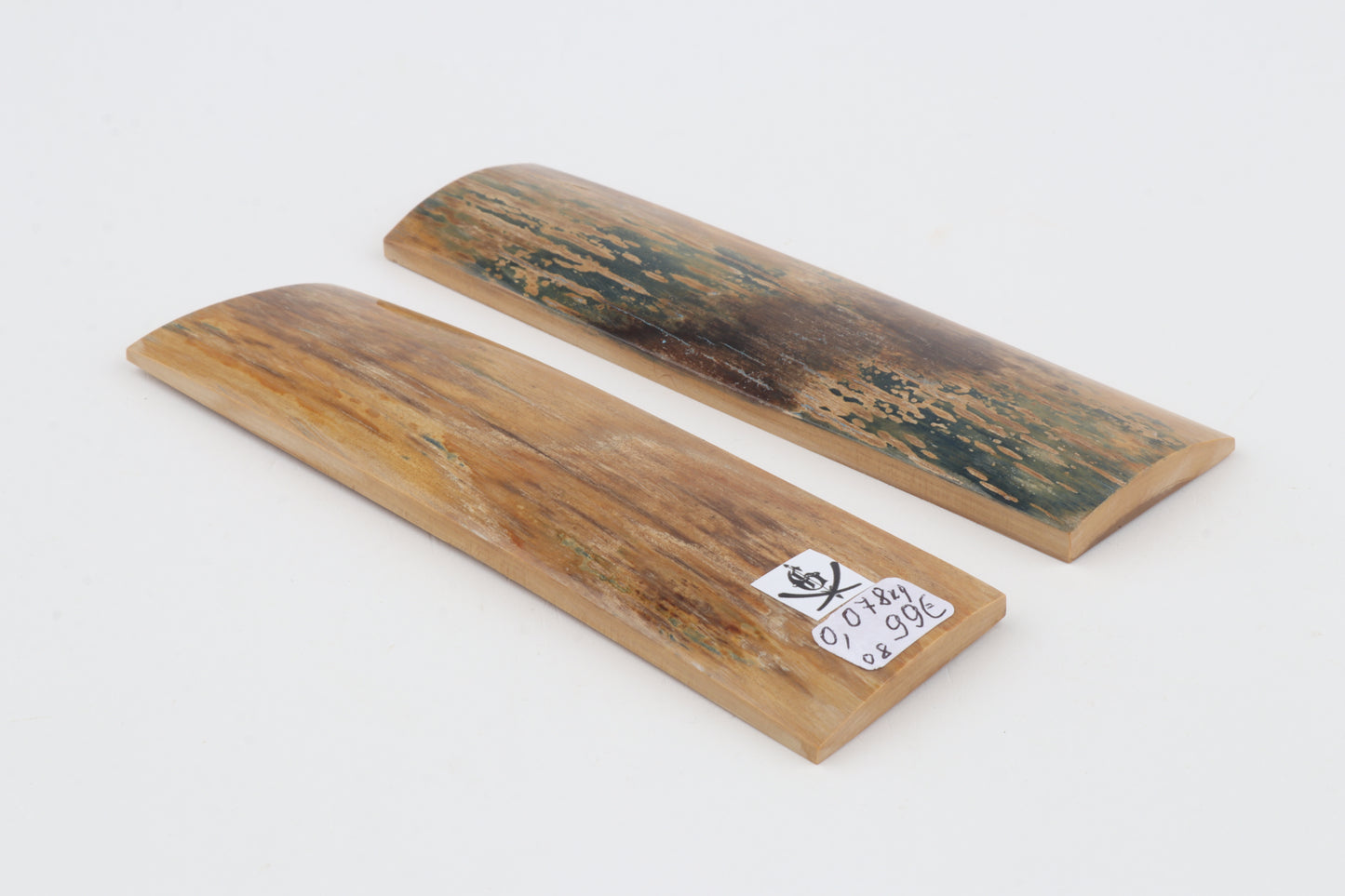 Natural mammoth bark scales