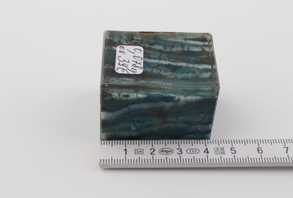 Stabilized mammoth molar piece