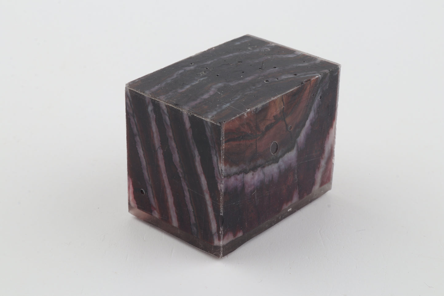 Stabilized mammoth molar piece