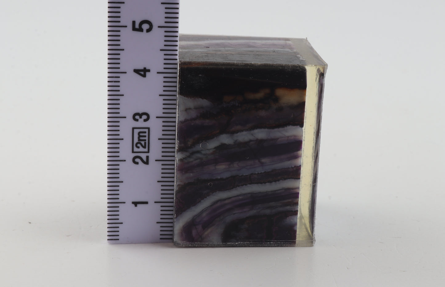 Stabilised mammoth molar piece