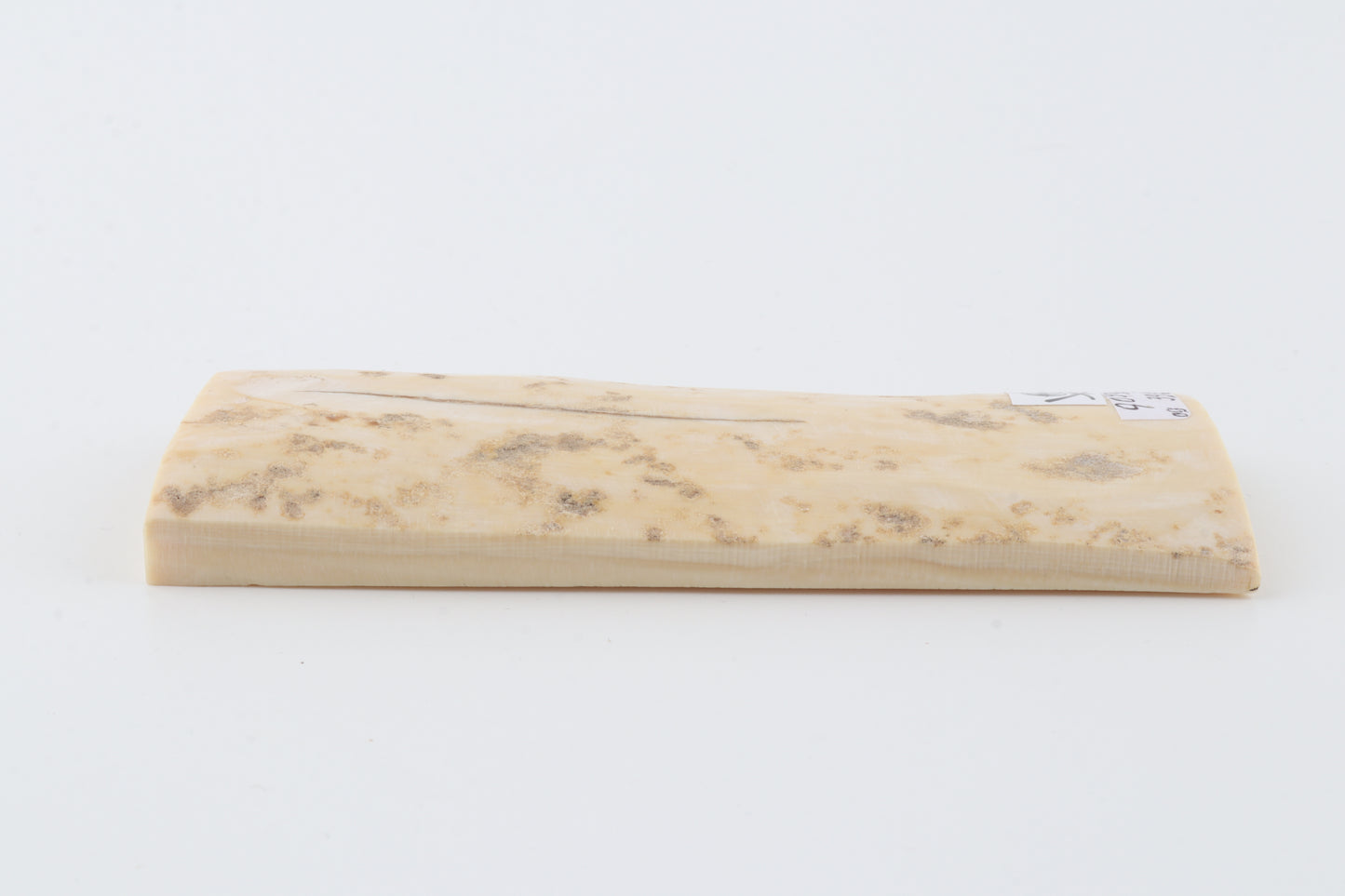 Creme-ivory mammoth bark