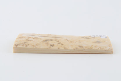 Creme-ivory mammoth bark