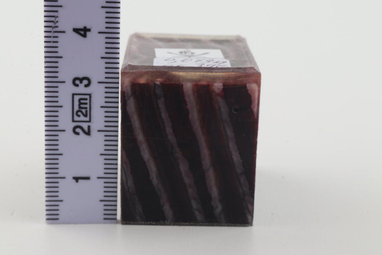 Stabilized mammoth molar piece