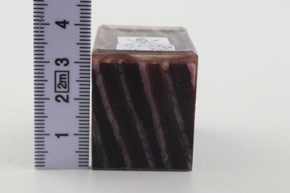 Stabilized mammoth molar piece