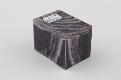 Stabilised mammoth molar piece