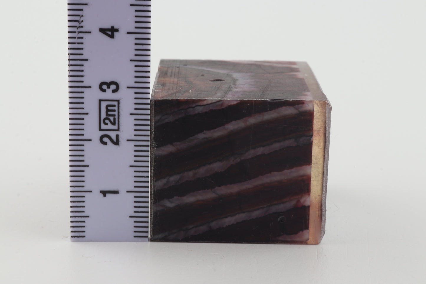 Stabilized mammoth molar piece