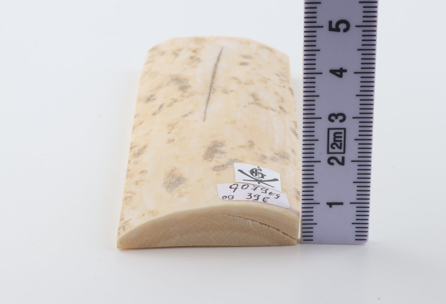 Creme-ivory mammoth bark