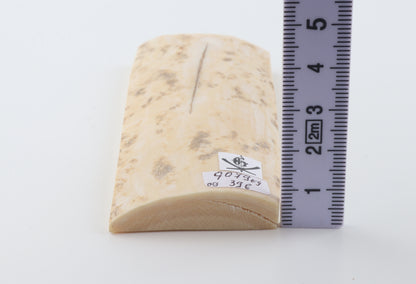 Creme-ivory mammoth bark