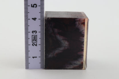 Stabilized mammoth molar piece