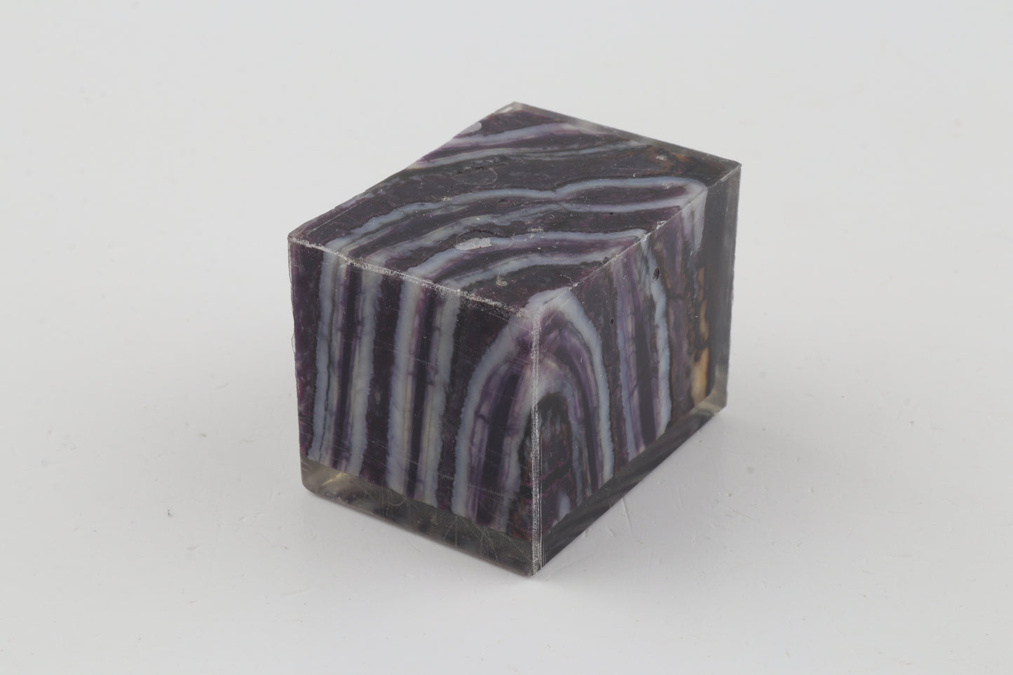 Stabilised mammoth molar piece