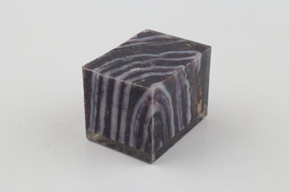 Stabilised mammoth molar piece